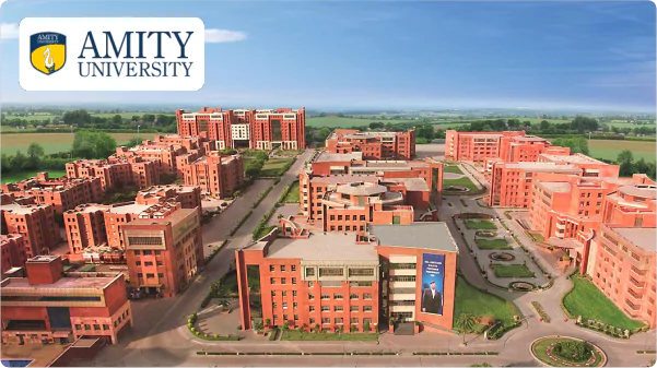 Amity Online University